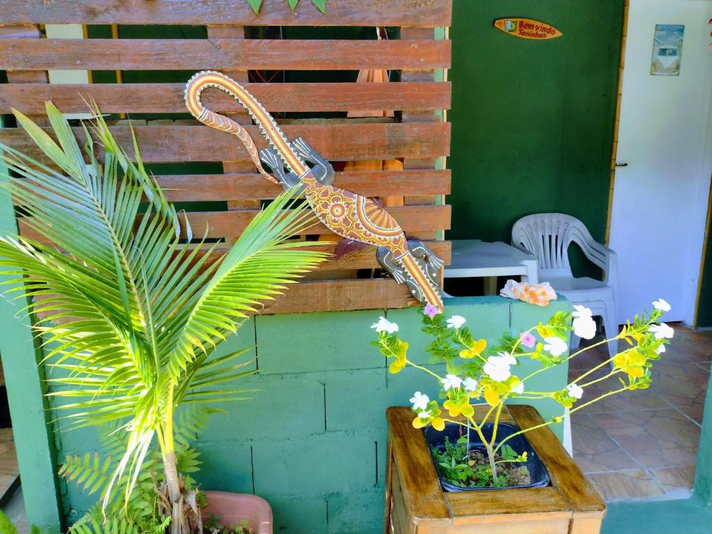  Pertinho prahia toninhas