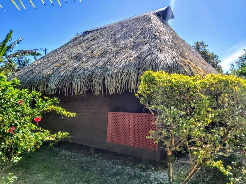 a hut with a thatched roof and some bushes at HUAHINE - Bungalow Pitate in Fare