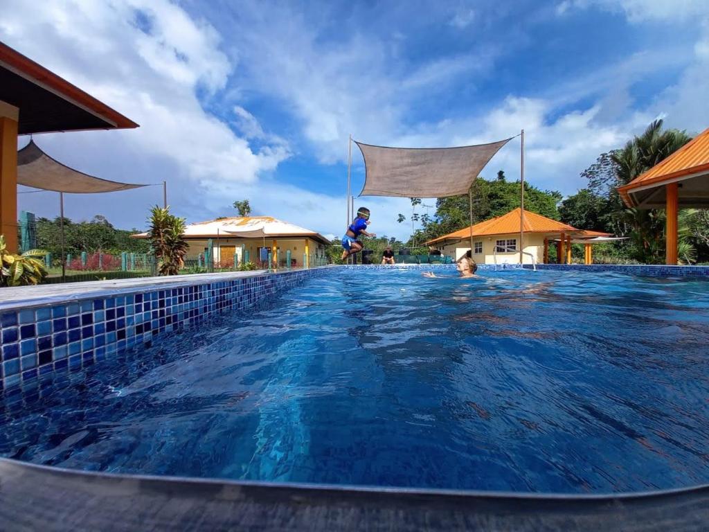 una piscina en un complejo con una persona saltando en él en Surinat Luxury Resort en Domburg