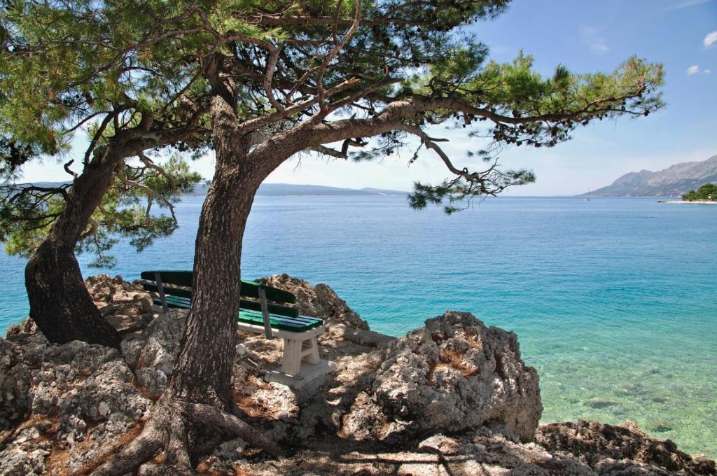 Príroda v okolí apartmánu