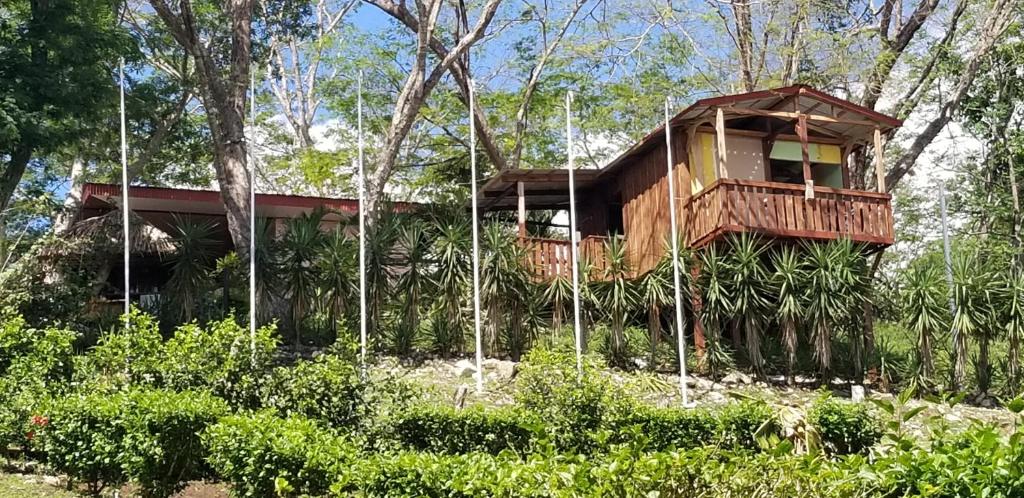 une cabane dans les arbres au milieu d'une forêt dans l'établissement Cabana Luna, à Jicaral