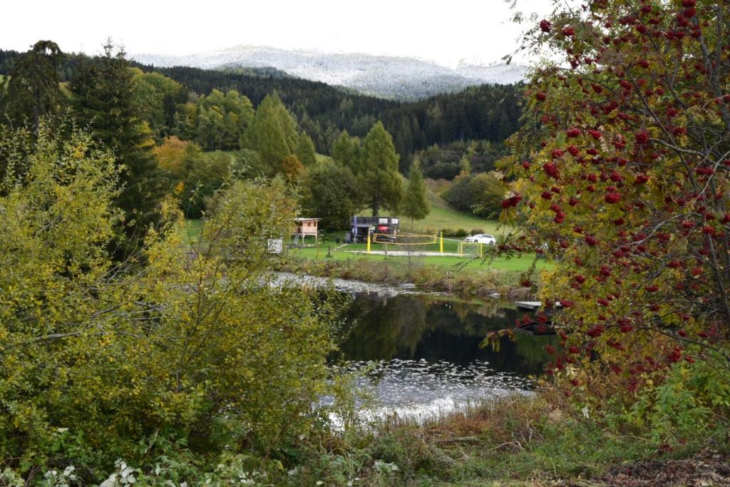 Gallery image of Ferienwohnung Familie Pichler in Neumarkt in Steiermark