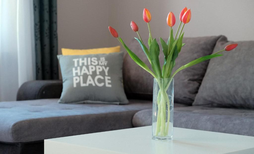 Apartmani Donata - 19