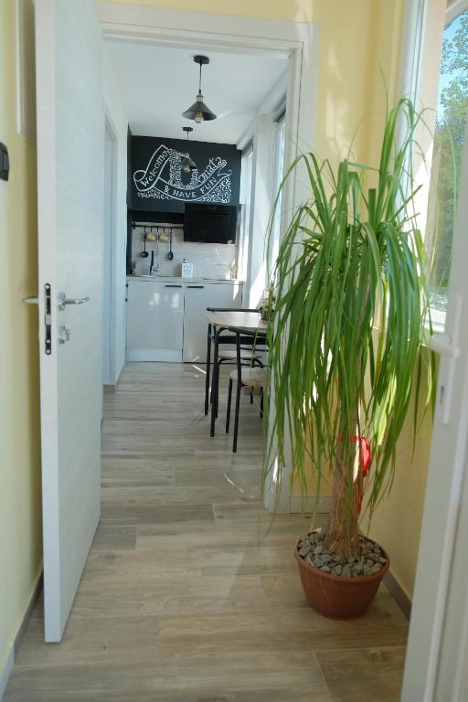 Kuchyňa alebo kuchynka v ubytovaní Apartmani Donata