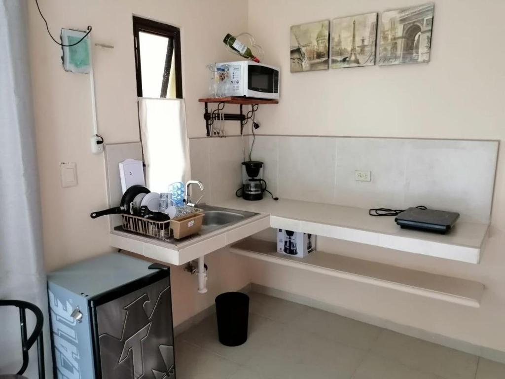 eine kleine Küche mit einer Spüle und einer Mikrowelle in der Unterkunft VILLAS EL TIO in El Cuyo