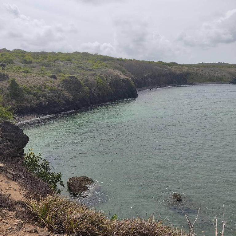  Mar Ilha Flat