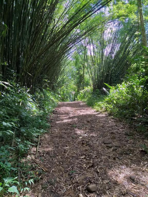  VILLAGIO CHARMOSO NA PRAIA DA MOCOCA