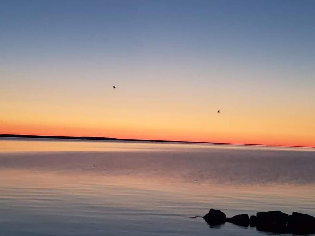 two birds flying over the water at sunset at Bayview Lakefront Inn in Saint Ignace