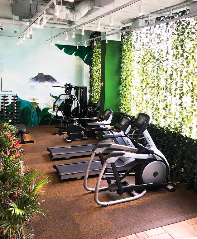 Centrul de fitness și/sau facilități de fitness de la Burlington Hotel