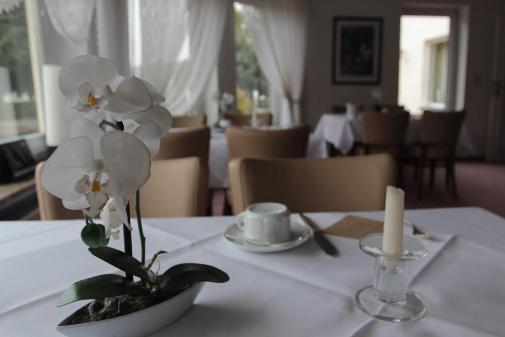Restaurace v ubytování Hotel Linden