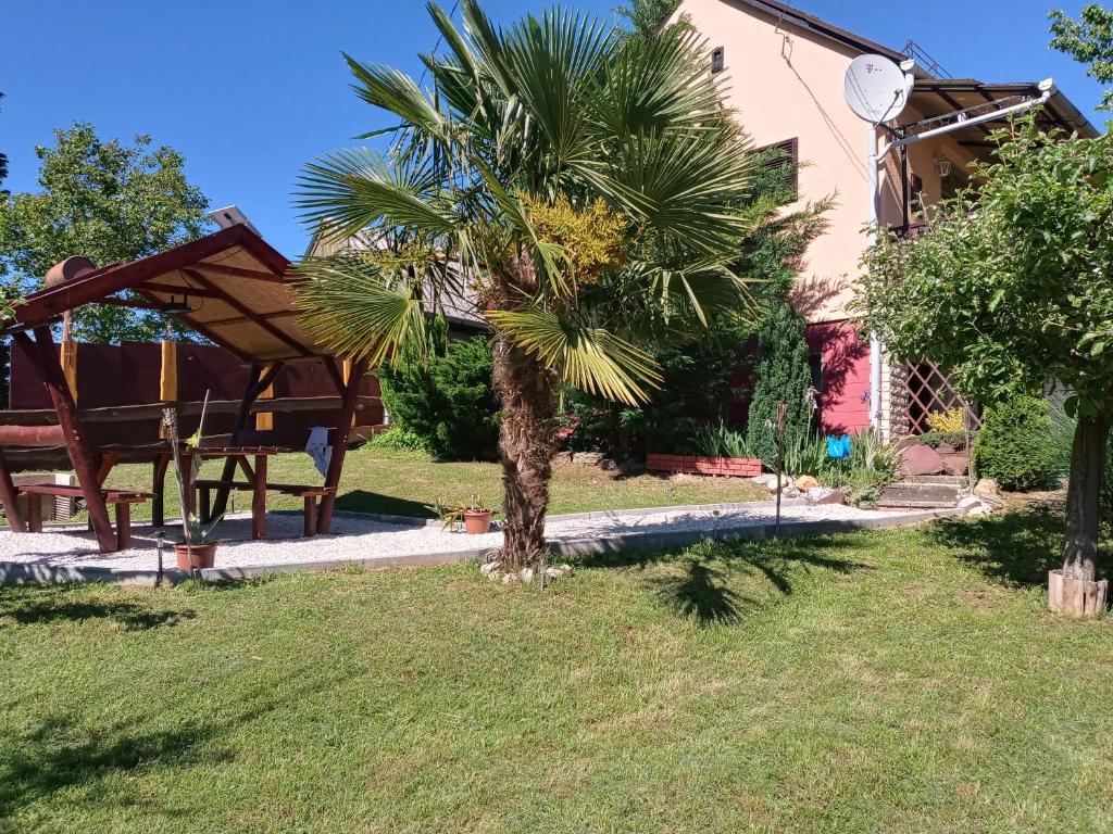 una palmera en un patio junto a una casa en Pálma Vendégház, en Zalakaros