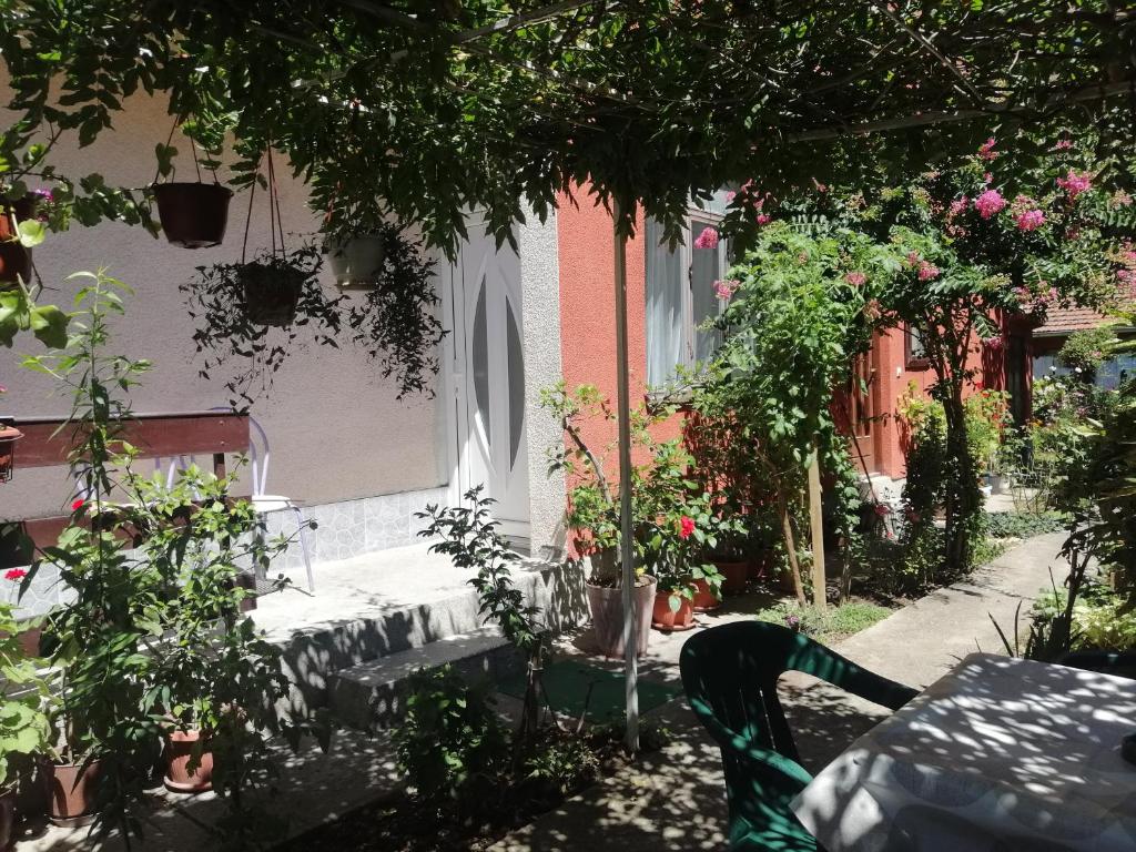 Zahrada ubytování Apartman Nana Jagodina