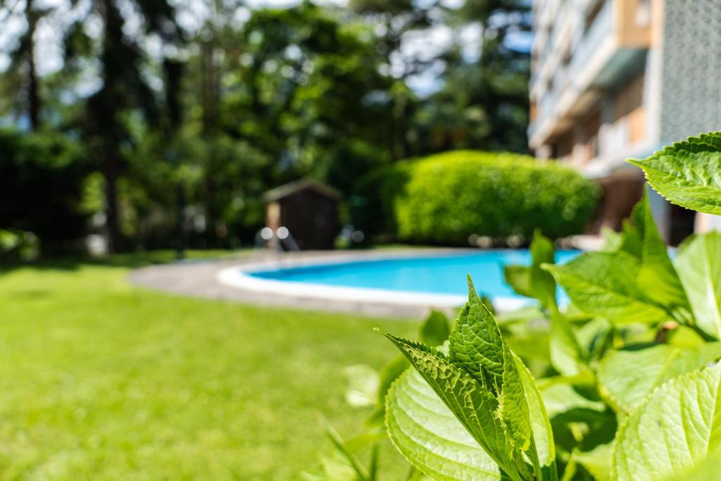 Fotografia z galérie ubytovania Flow Apartments Winkel Studio v destinácii Merano