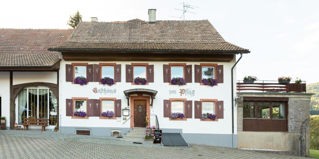 a white building with flowers on the windows at Hotel Landgasthof zum Pflug in Steinen