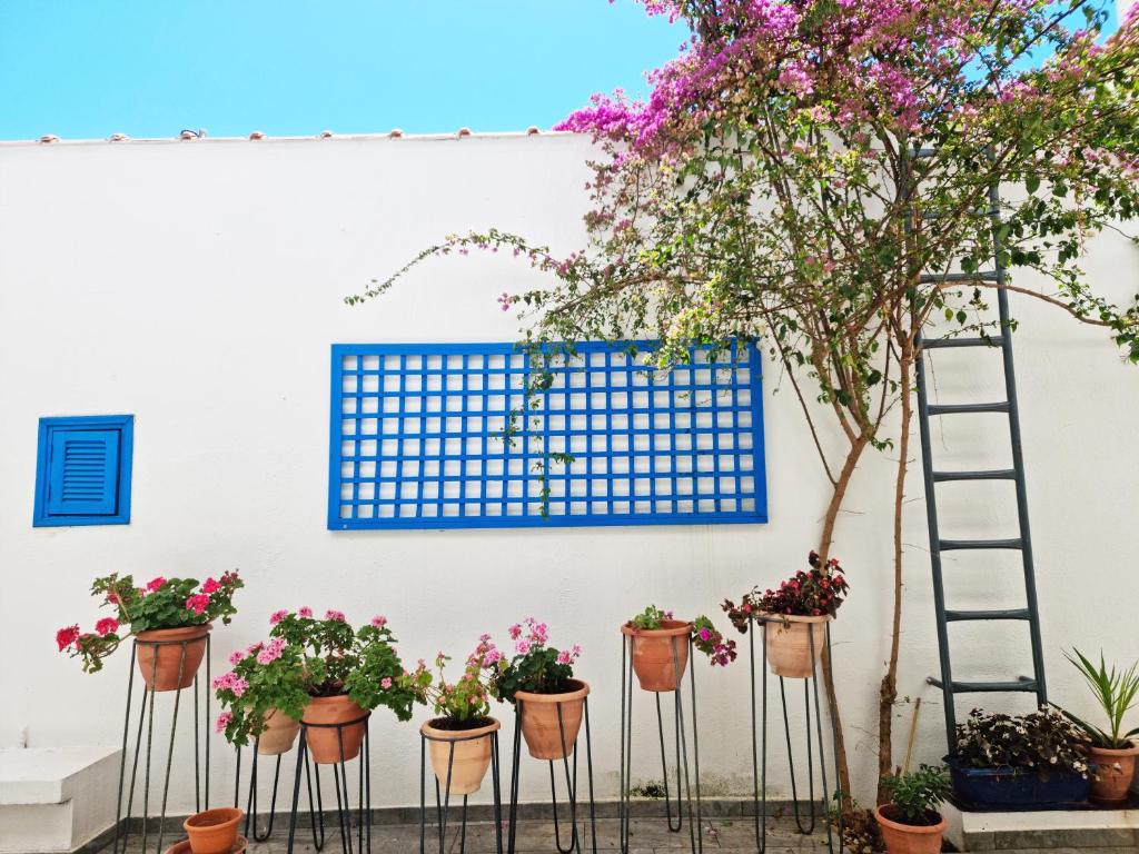 Casa Di Estella - 16