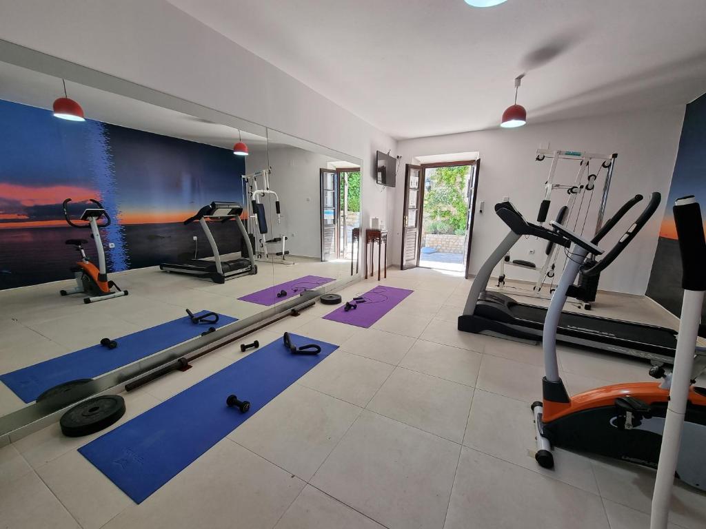 Fitness centrum a/nebo fitness zařízení v ubytování Hotel Palata Venezia