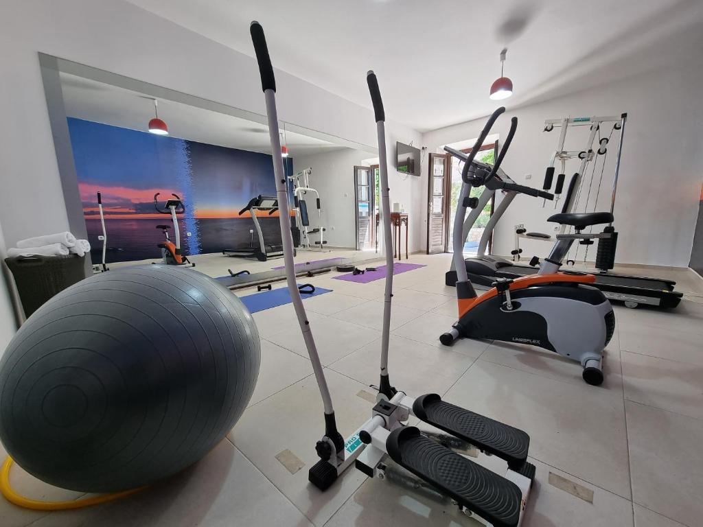 Fitness centrum a/nebo fitness zařízení v ubytování Hotel Palata Venezia