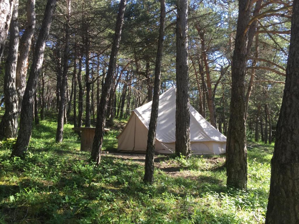 Camping La Chabannerie , Saint-Martin-de-Clelles, France - 415 Commentaires  clients . Réservez votre hôtel dès maintenant ! - Booking.com