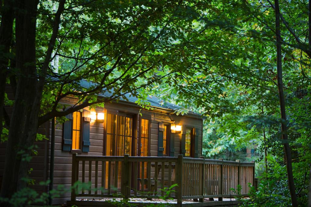 a wooden cabin with a view of a forest at Disney’s Davy Crockett Ranch in Villeneuve-le-Comte