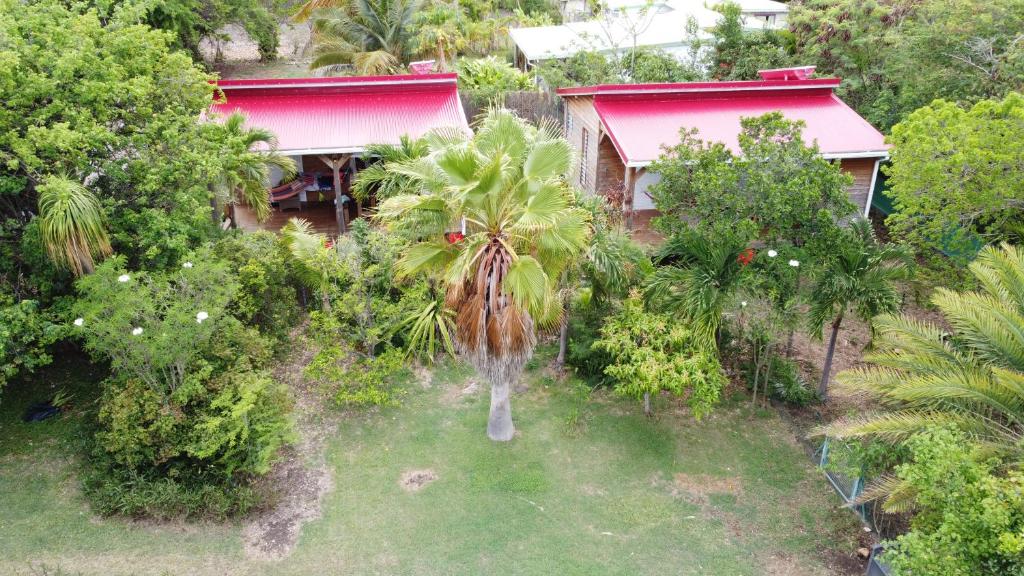 an aerial view of a house with a palm tree at Les Z’Alizés in Le Moule