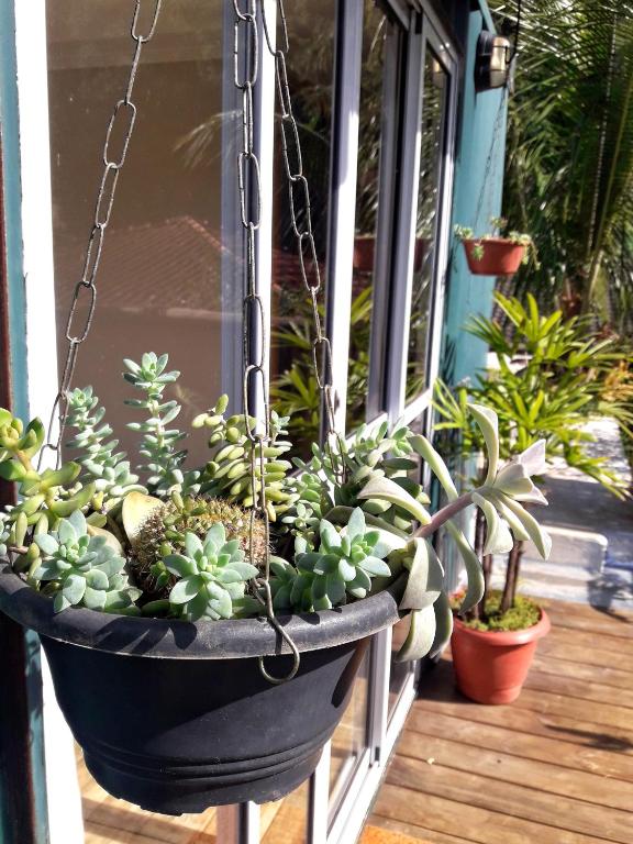  Suíte Saíra Container