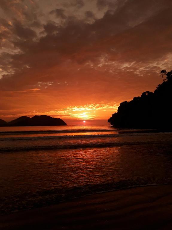  Suíte Saíra Container