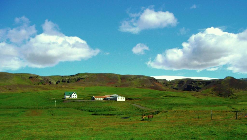 a house in the middle of a green field at Eystri-Solheimar in Vík