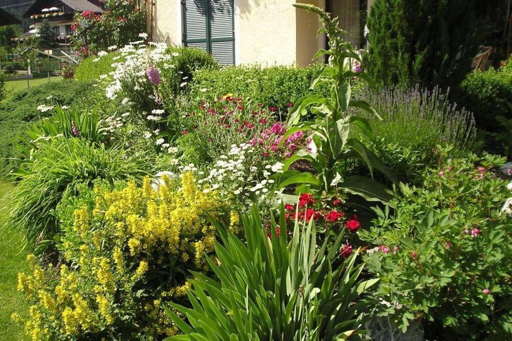 A garden outside Rooms by Haus Ingrid