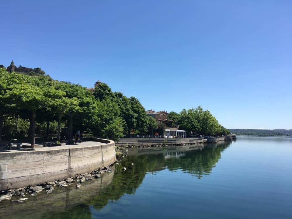 Un río con un montón de pájaros en el agua en Trevignano Vecchio - Suite Apartment, en Trevignano Romano