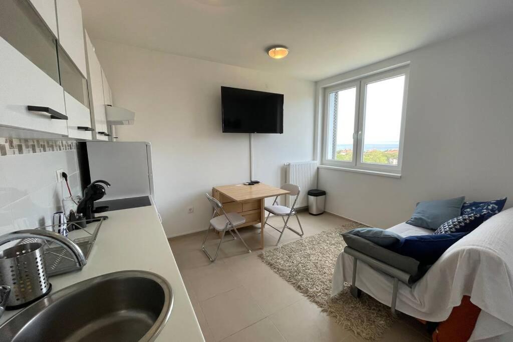 une cuisine avec un évier et un canapé dans une chambre dans l'établissement Apartment Gema - One bedroom apartment, à Izola