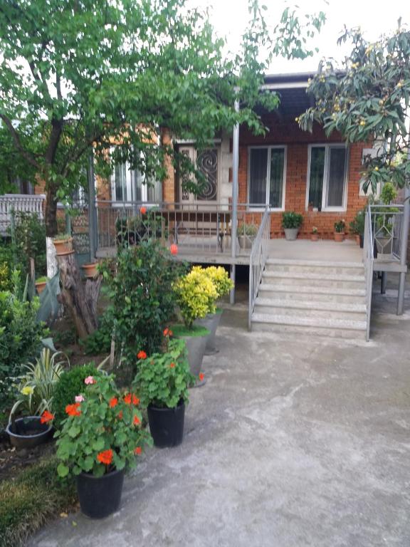 Zahrada ubytování Guest House Darejani
