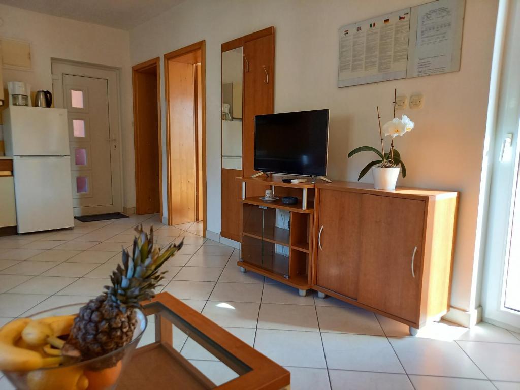 Kuchyňa alebo kuchynka v ubytovaní Apartments Mirjana Baška