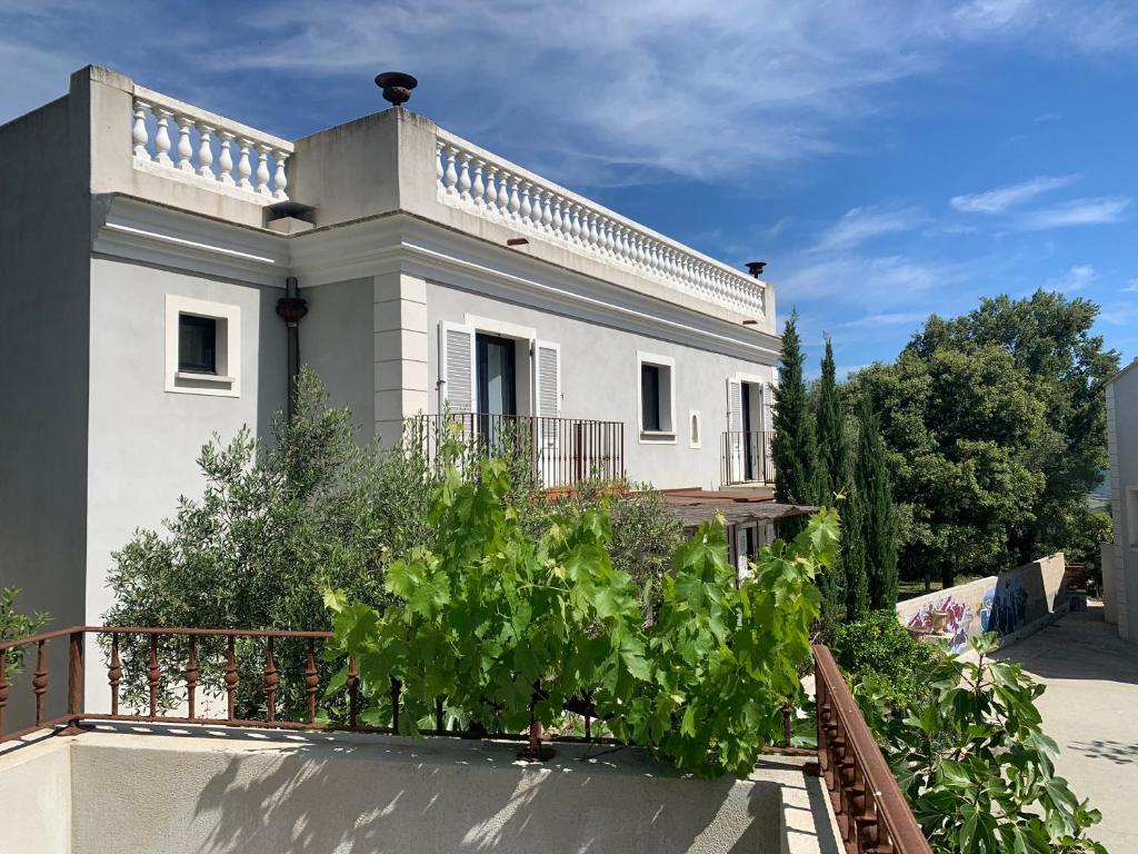 Zahrada ubytování Appart'hotel Fior Di Ribba