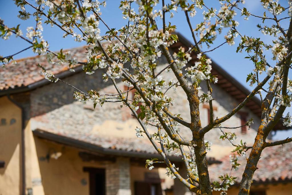La Rosa - Appartamento Con Una Camera Da Letto