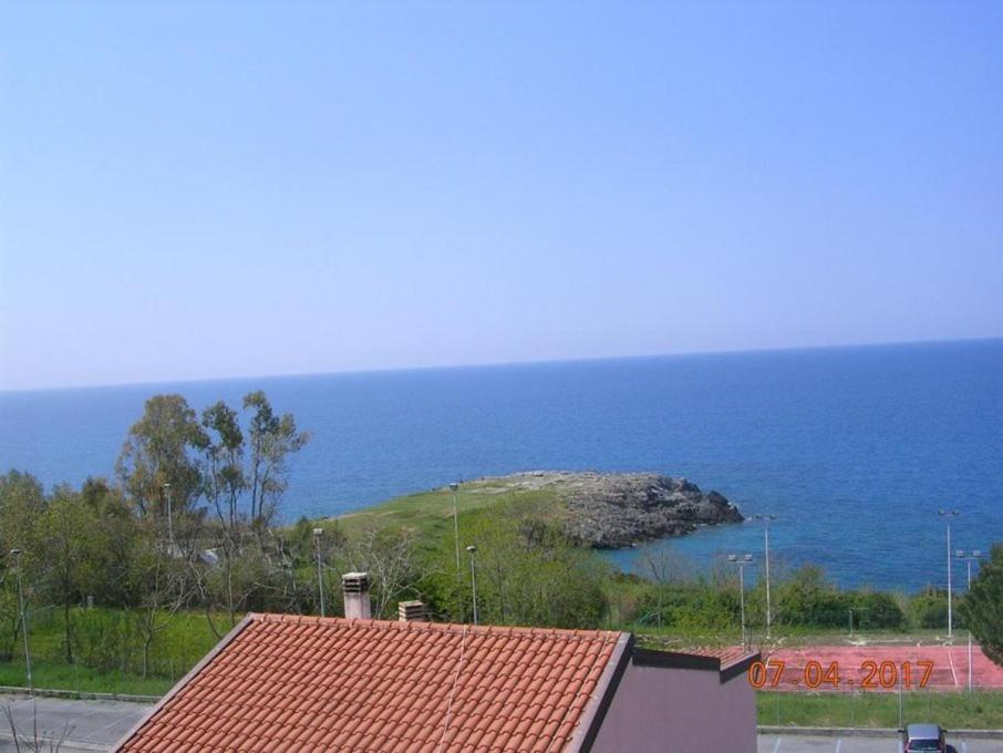 Příroda nedaleko hotelu