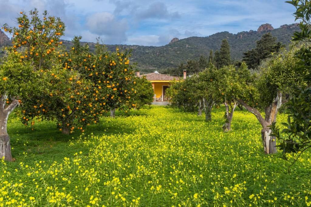 Casolare a Bosa - Autentica Casa Vacanze con Bici e Kayak