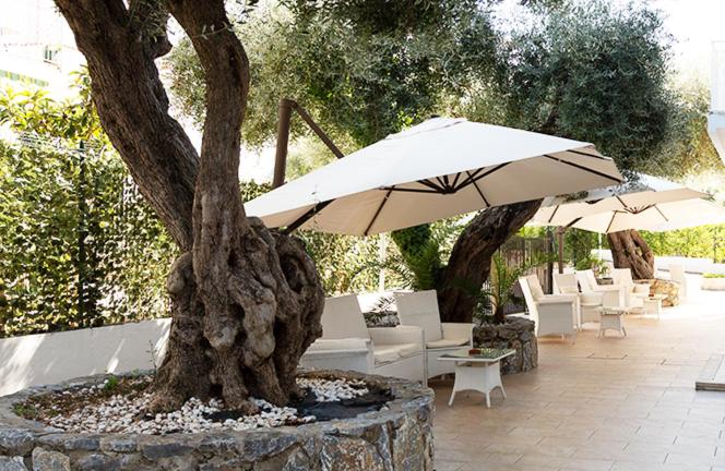 Zahrada ubytování Hotel Parthenius Cirella di Diamante