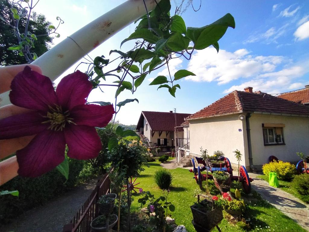 a purple flower in the yard of a house at Apartmani Mali Raj Rudnik in Rudnik