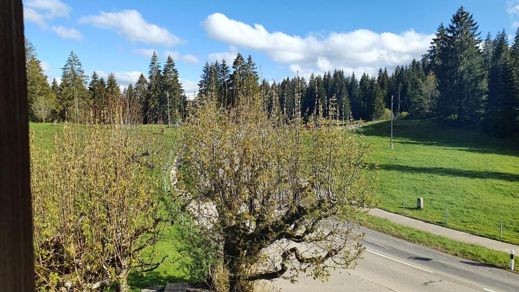Příroda nedaleko penzionu – hostince