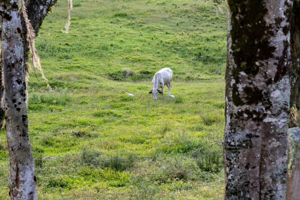  LOCAR-IN GRAMADO Chácara Bela Vista