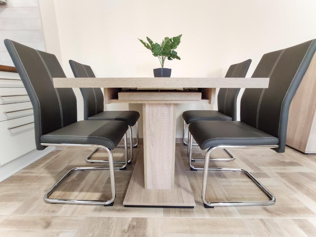 Posedenie v ubytovaní Trika Apartman