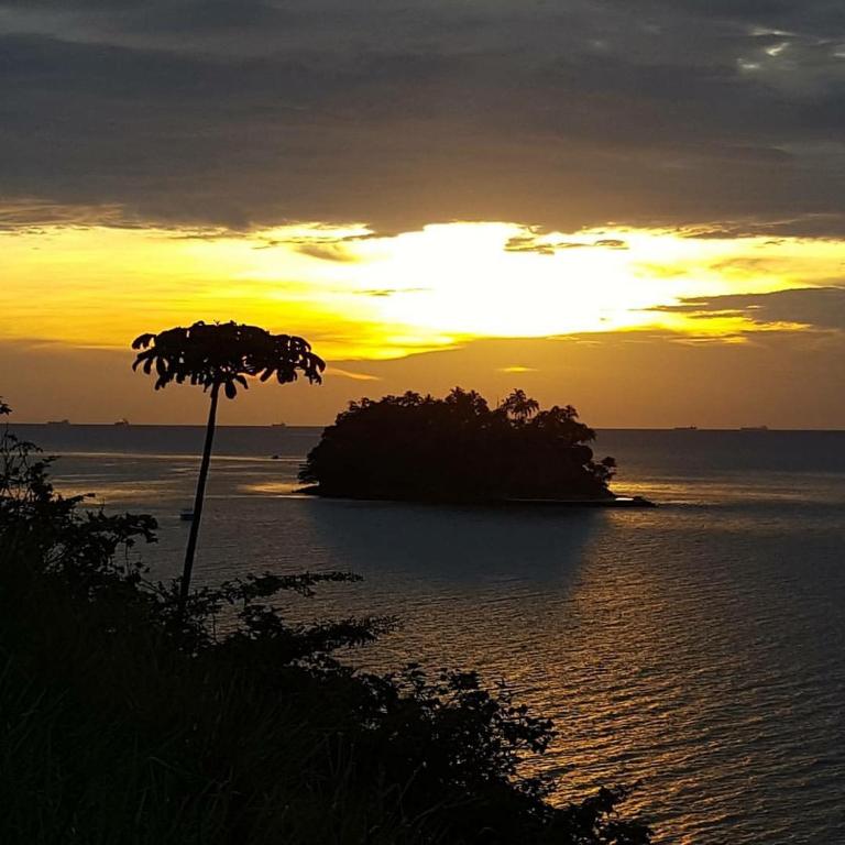 Moana Ilhabela  Moana Ilhabela