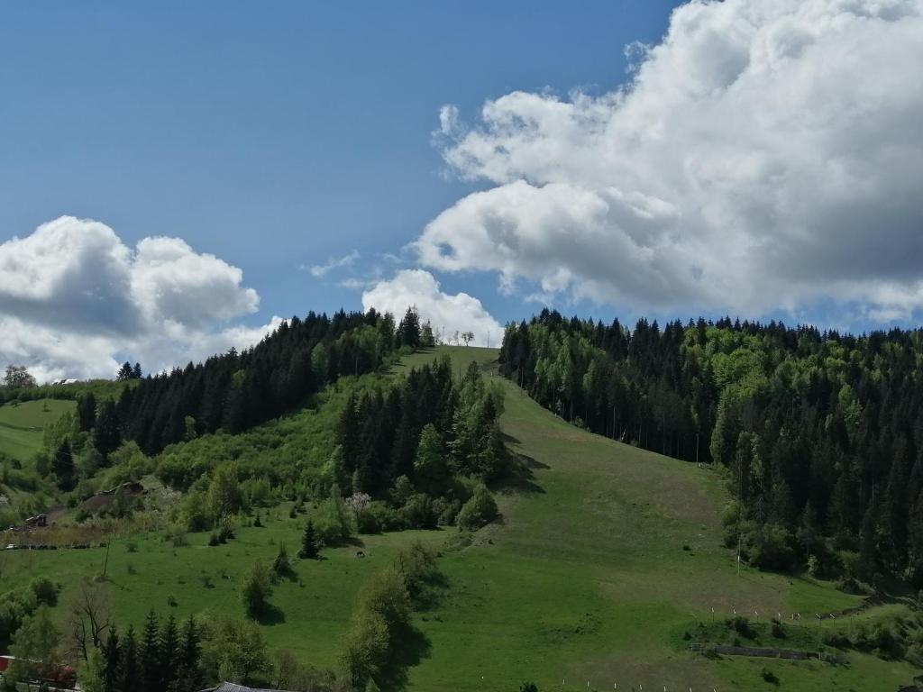 Příroda nedaleko apartmánu