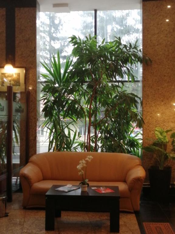 Posezení v ubytování Hotel Piemonte