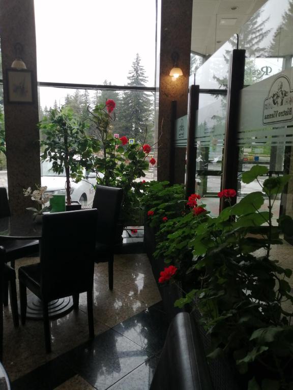 Fotografie z fotogalerie ubytování Hotel Piemonte v destinaci Predeal