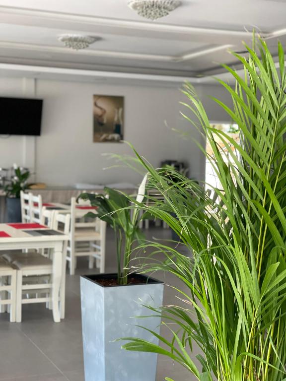 TV a/nebo společenská místnost v ubytování Mucobega Hotel