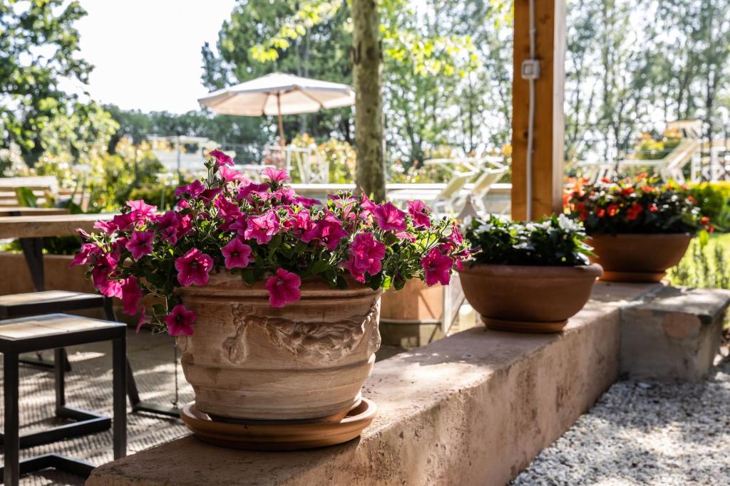three potted plants sitting on a stone ledge at Vecchio Granaio in Pisa
