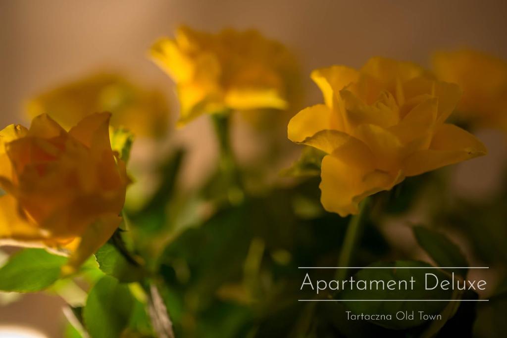 Tartaczna Old Town - 14