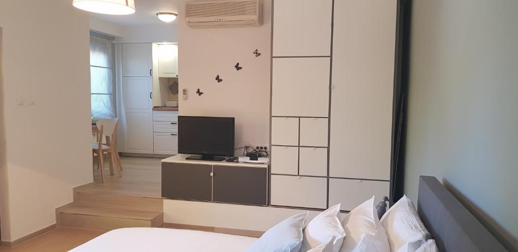 1 dormitorio con 1 cama y TV en una habitación en Apartments Doris en Nova Vas