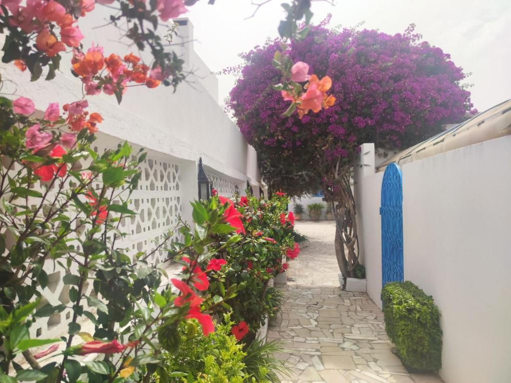 西迪布賽義德的住宿－Suite à sidi bou Saïd，白色墙壁上花园中种有粉红色的花朵